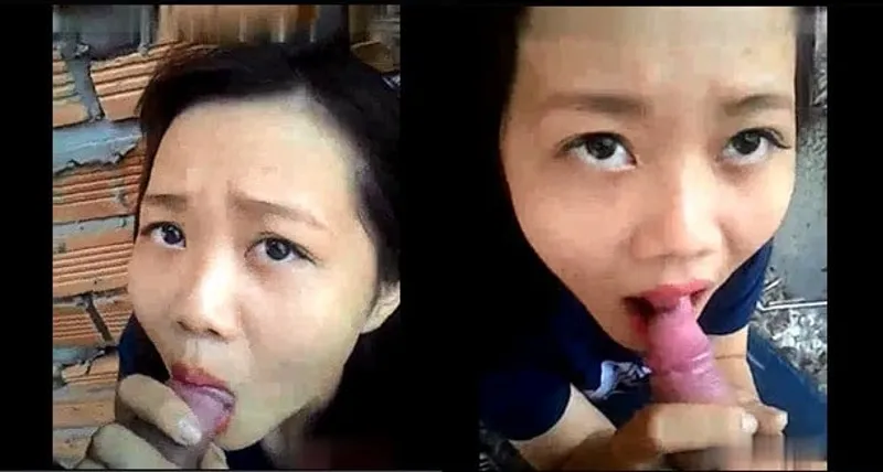 Bồ bú củ khoải ở vườn sau nhà